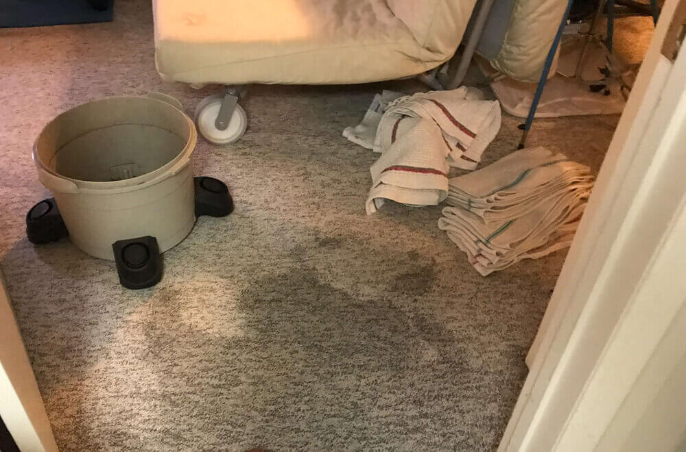 leaking shower damage on carpet
