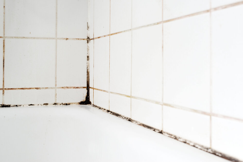 Shower with mouldy silicone and grout